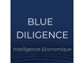 Détails : BLUE DILIGENCE Intelligence économique