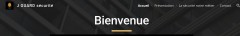 Détails : J GUARD SECURITE
